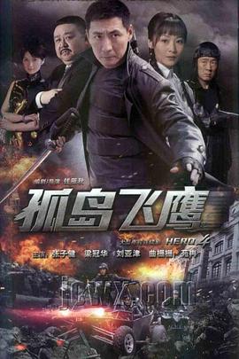 孤岛飞鹰 第33集