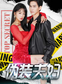 伪装夫妇 第01集