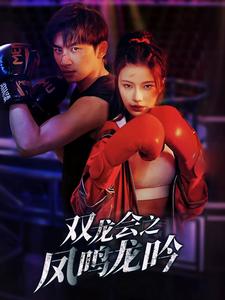 双龙会之凤鸣龙吟 第30集