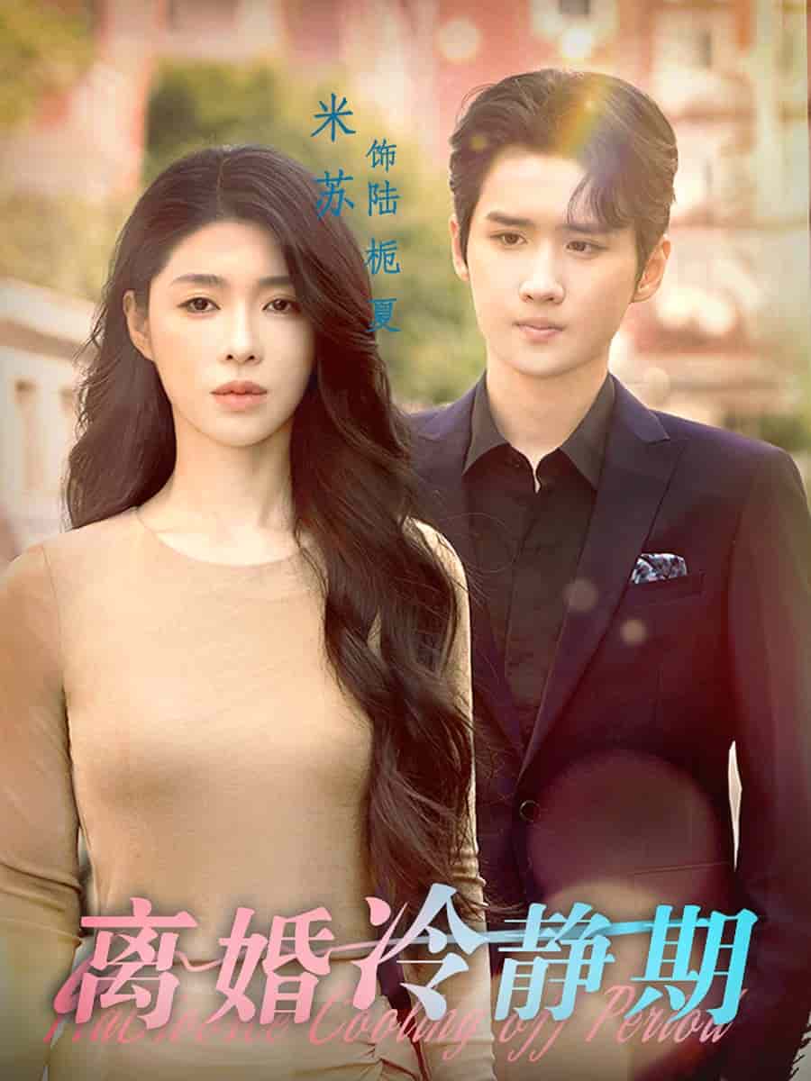 离婚冷静期 第19集