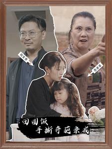 团圆饭手撕奇葩亲戚 第28集