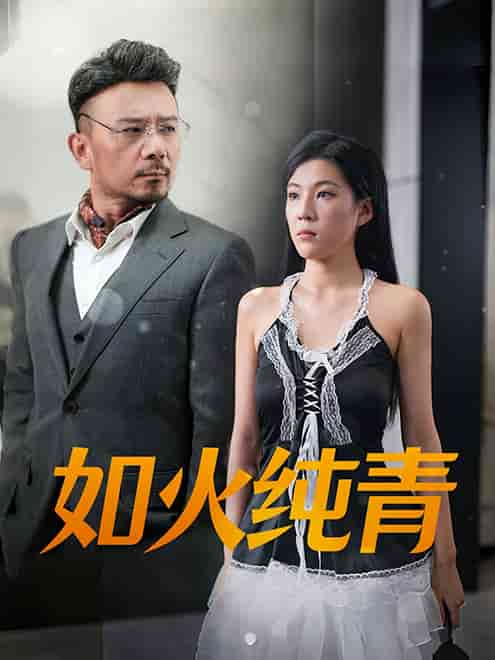 如火纯青 第27集