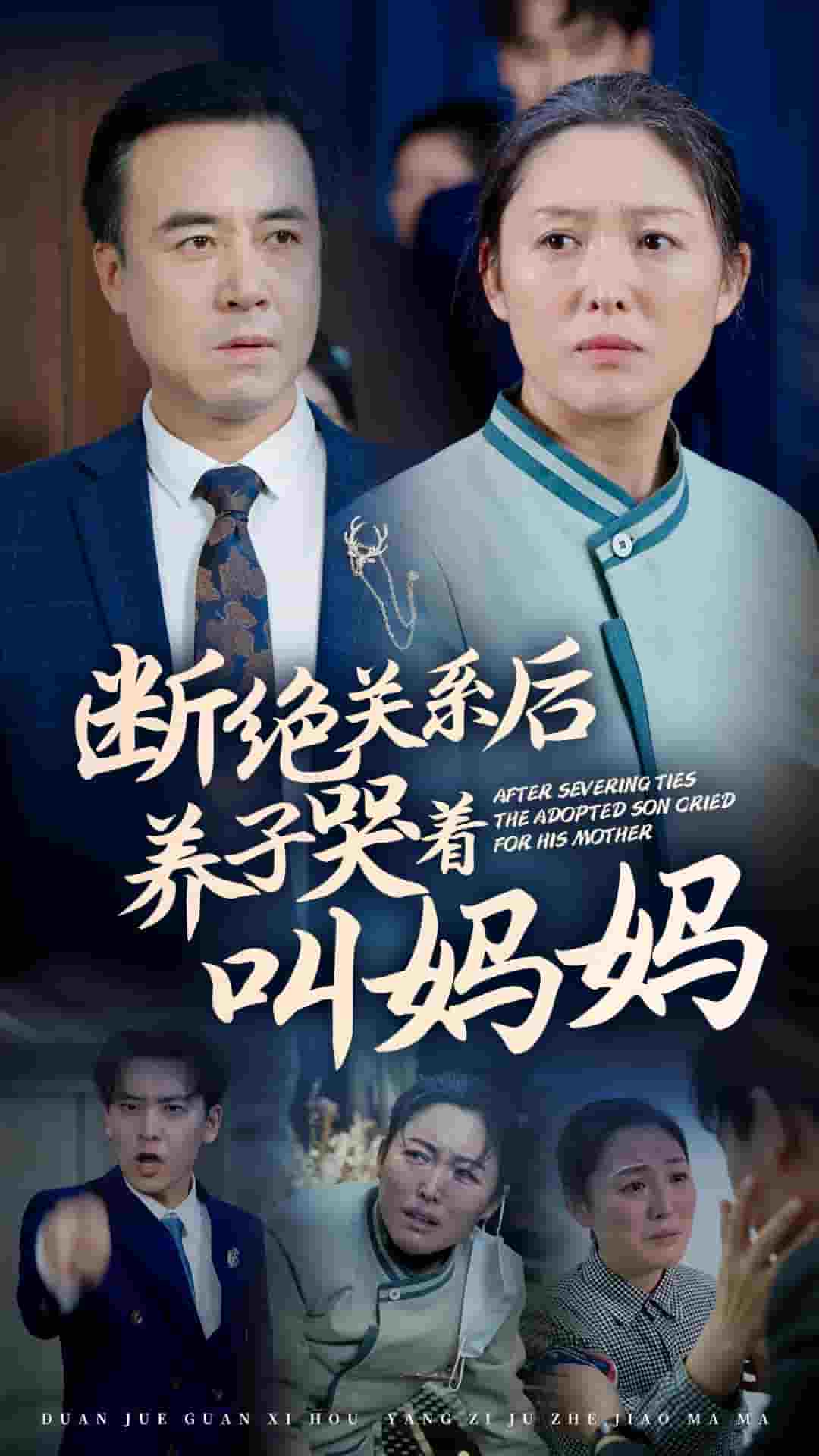 断绝关系后养子哭着叫妈妈 第03集