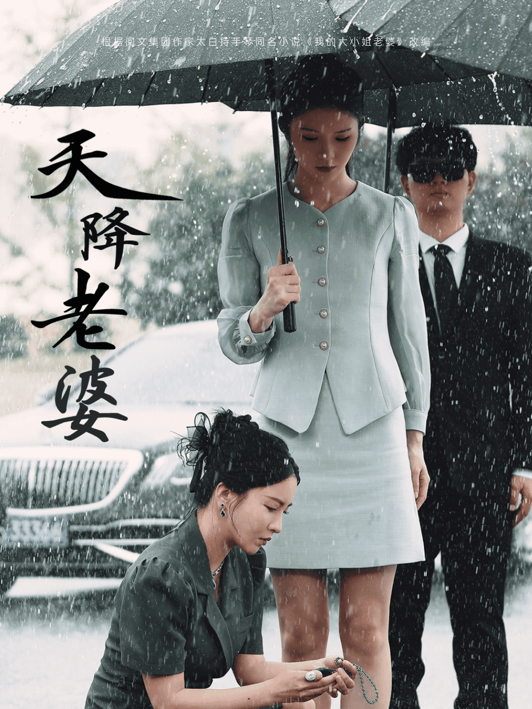 天降老婆 第12集