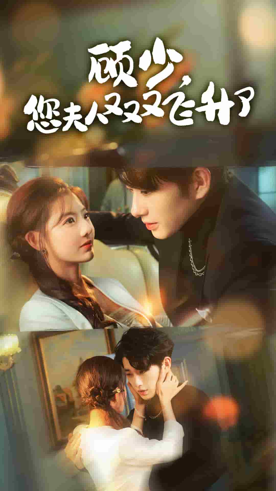 顾少您夫人又又又飞升了 第47集