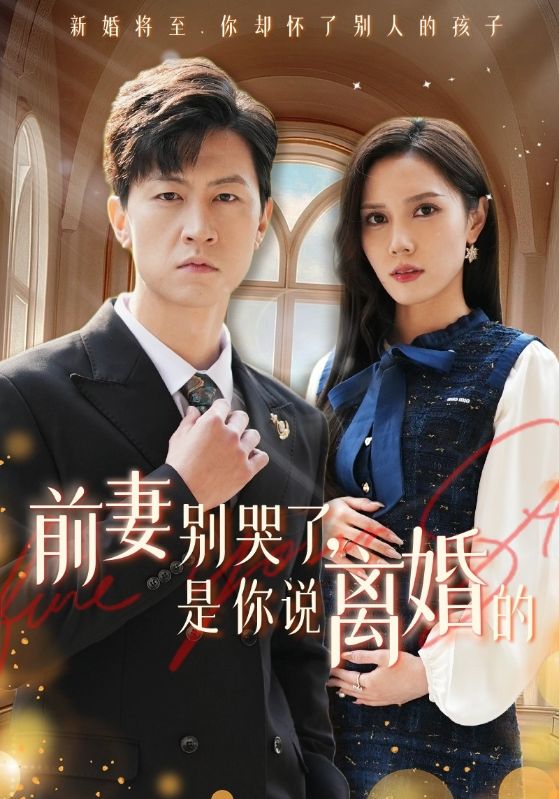 前妻别哭了是你说离婚的 第24集