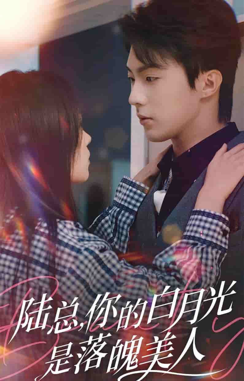 陆总你的白月光是落魄美人 第17集