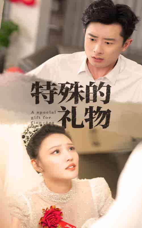 特殊的礼物 第34集