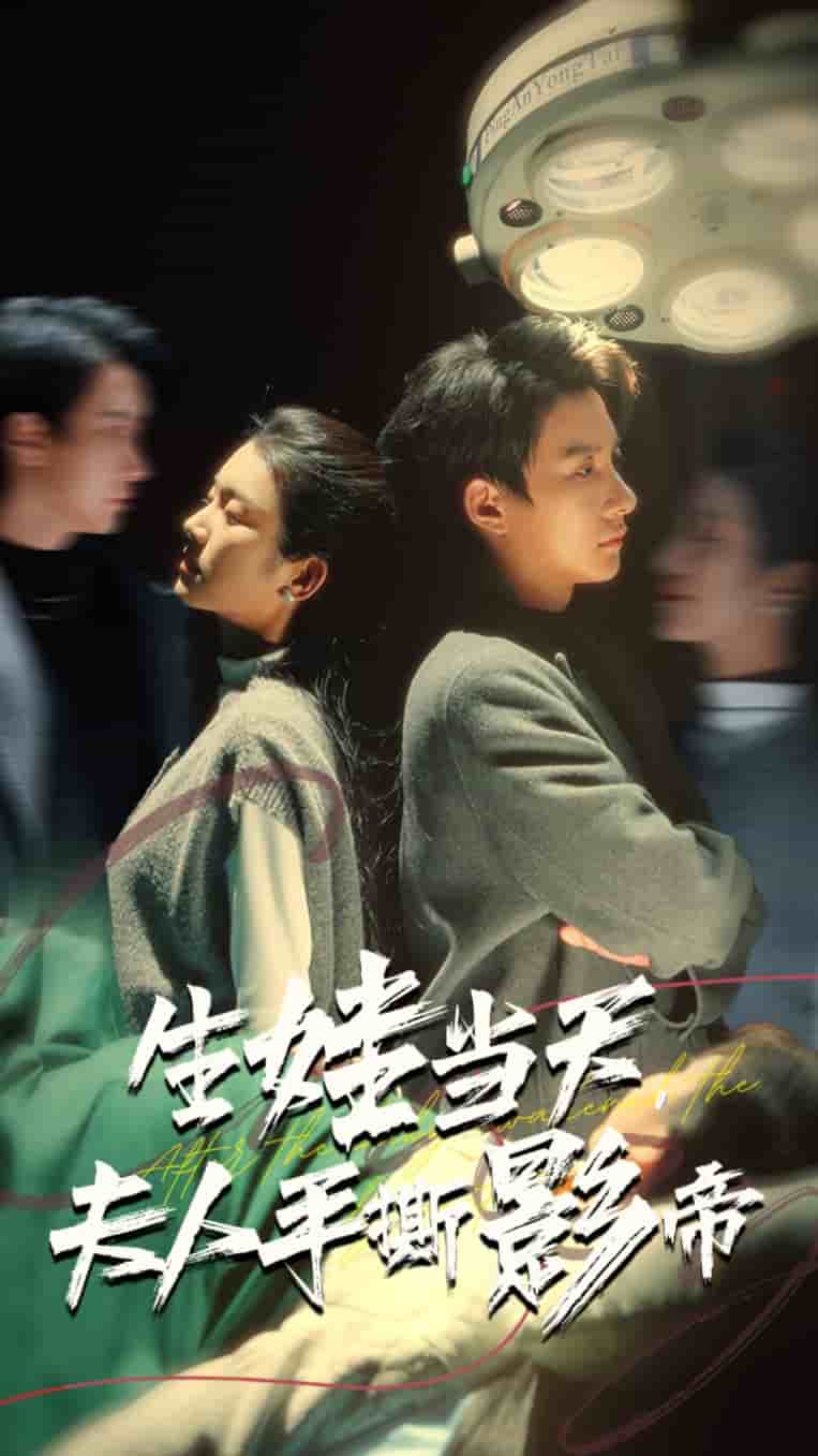 生娃当天夫人手撕影帝 第41集