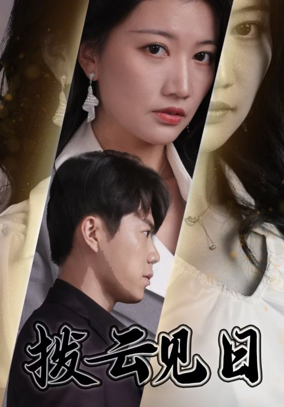 拨云见日短剧版 第34集