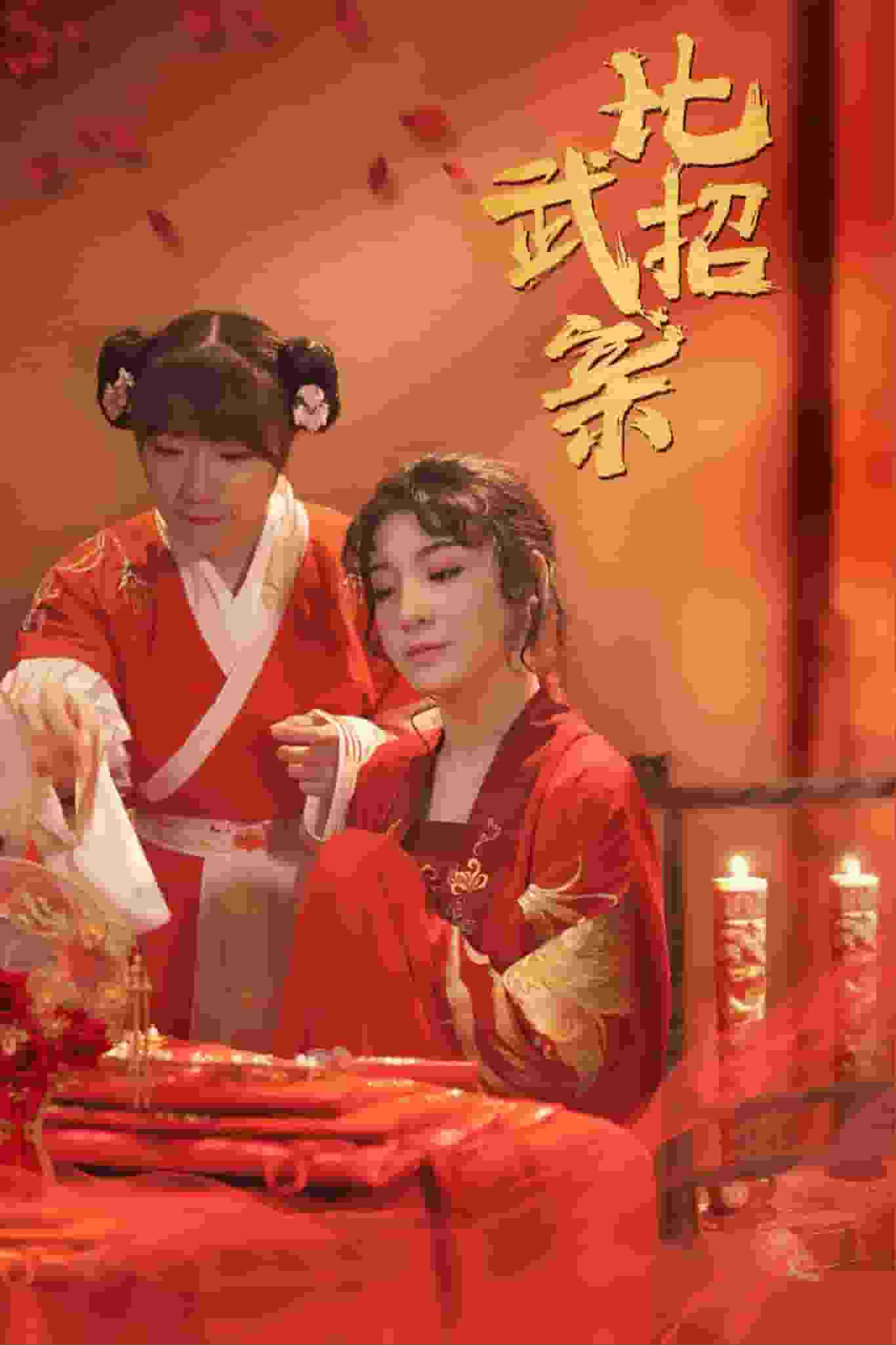 比武招亲 第21集
