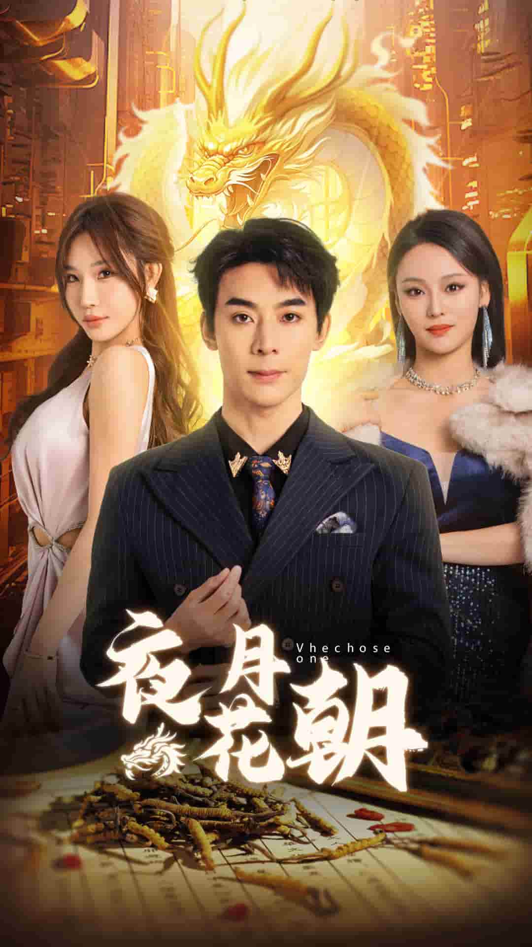 夜月花朝 第6集