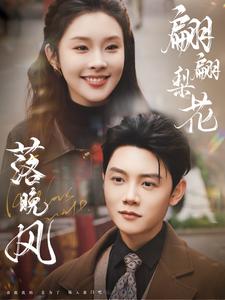 翩翩梨花落晚风 第53集