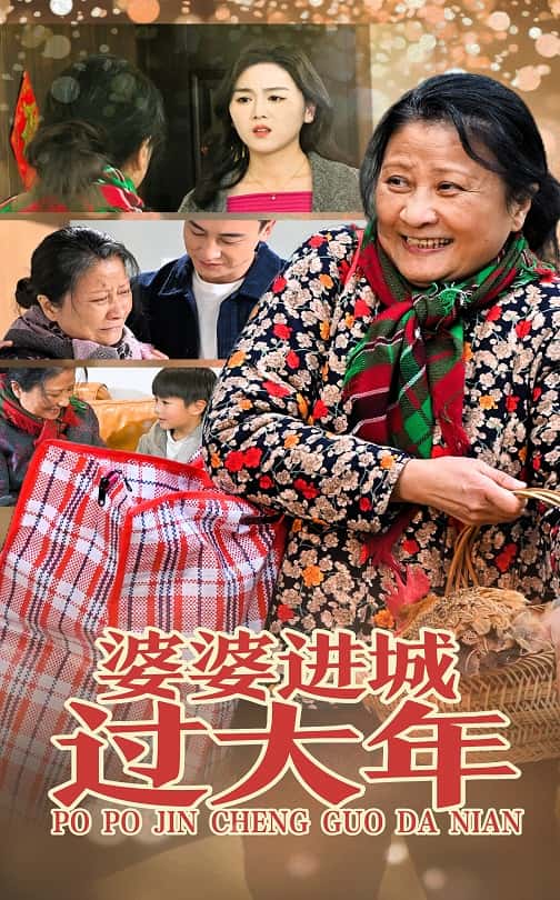 婆婆进城过大年 第1集