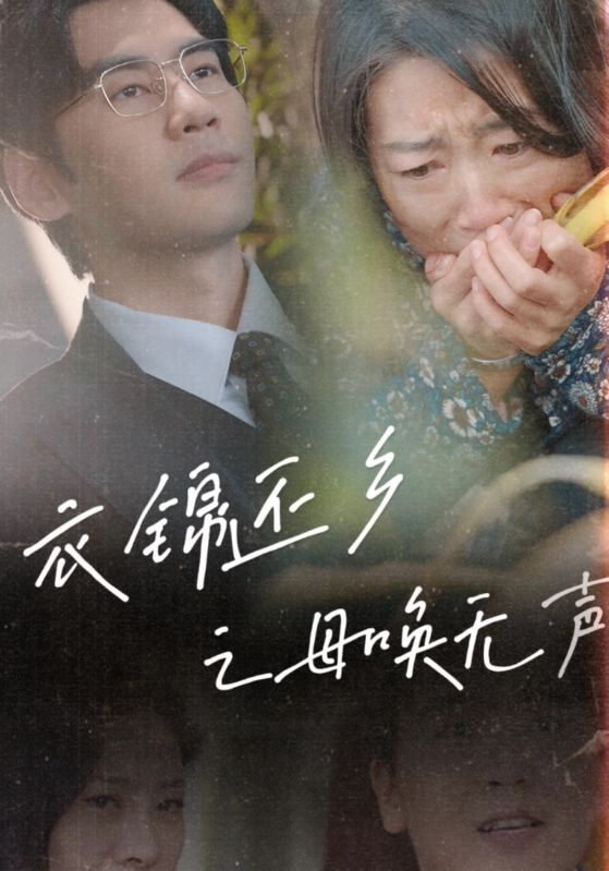 衣锦还乡之母唤无声 第58集