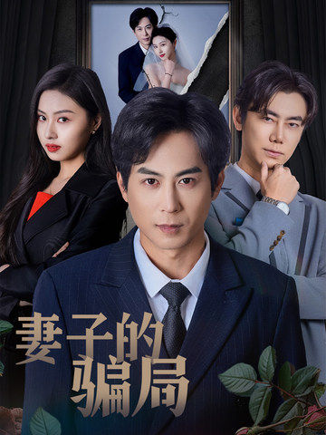 妻子的骗局 第12集