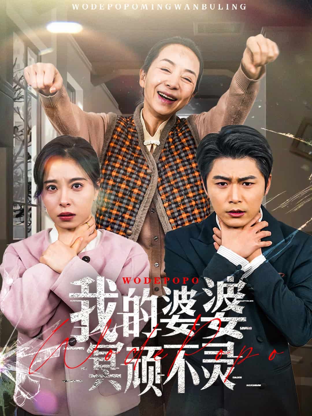 好心婆婆之事与愿违 第20集